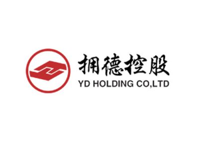 拥德控股
